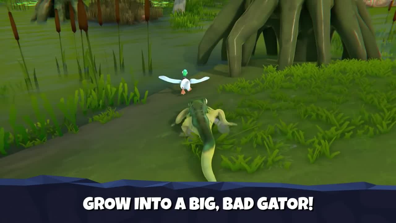 Angry Alligator - teaser