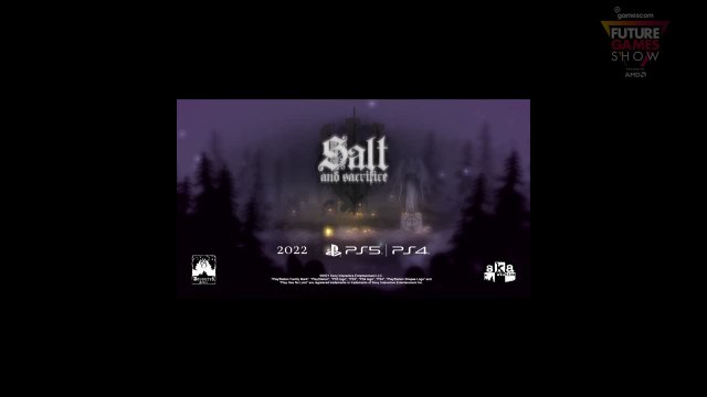 Salt & Sacrifice - Multijoueur gamescom