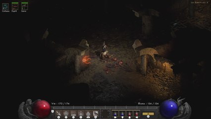 Diablo II Resurrected gameplay