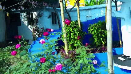 Chandra Mahal Eco Park part-3/বাগেরহাট জেলার দর্শনীয় স্থান#theainashoudagor #Mehedihasanvlog#tsb