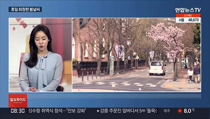 [일요와이드] 휴일 화창한 봄 날씨…우리 동네 벚꽃 소식은?