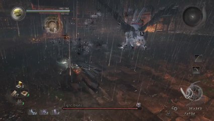 Nioh, boss : Tigre blanc
