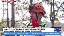 ¡Hace cuatro días! Incendio continúa arrasando bosque en aldea El Cimarrón