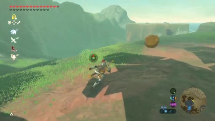 BOTW : un joueur se fait owned par un Octorock