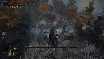 Elden Ring - Avatar Putride