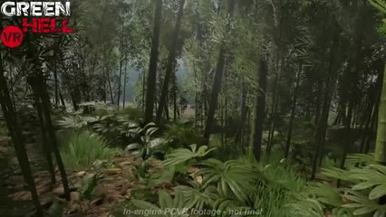 The world of Green Hell VR is BEAUTIFUL