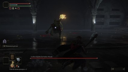 Elden Ring - Cerbère