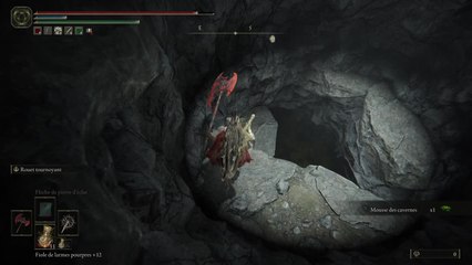 Elden Ring - double bete