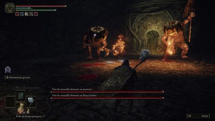 Elden Ring - Double Citrouille