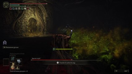 Elden Ring - Spectre royal