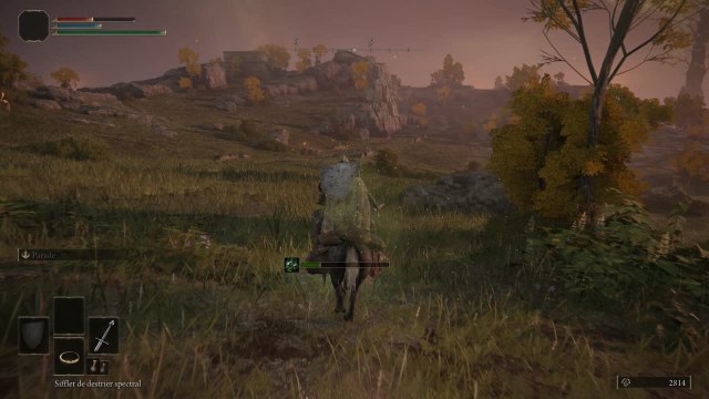 Gameplay 1 : Elden Ring