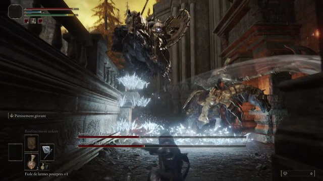 Elden Ring - Doubles sentinelles