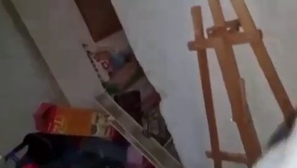 Видео из Гостомеля от Дмитрия Комарова о мародерстве орков