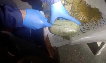 Salamura asma yaprağı bidonunda uyuşturucu sevkiyatına 2 tutuklama