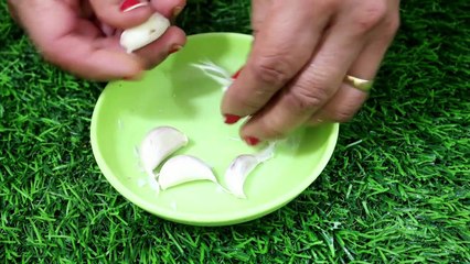 शरीर में कहीं भी हो रहे तिल या मस्से जड़ से ख़त्म करें बिना निशान छोड़े How to Remove Warts