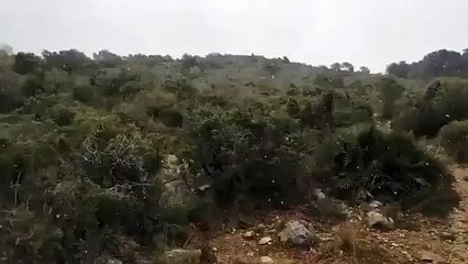 Nieve sobre Sitges, a 200 metros sobre el nivel del mar