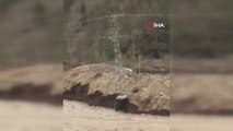 Kastamonu’da kar suları çay kenarındaki elektrik direğini yıktı