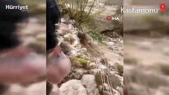 Kar suları çay kenarındaki elektrik direğini böyle yıktı