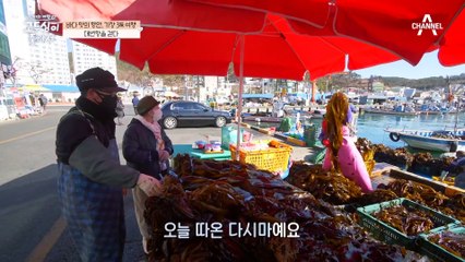 바다 내음 가득한 대변항 산책, 그 안에서 마주한 정겨운 어촌 풍경