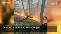 Çorum'da iki ilçede orman yangını