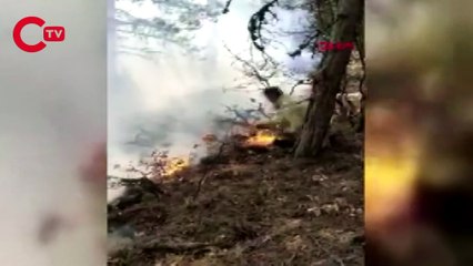Çorum'da 2 orman yangınında 11 hektar alan zarar gördü