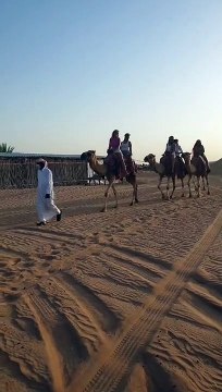 Camel ride Dubai desert safari