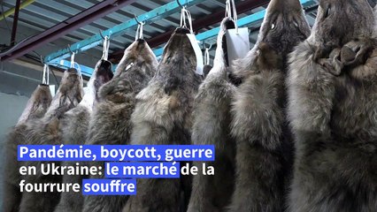 Trappeur, plus vieux métier au Canada, mais un "héritage" qui ne rapporte plus