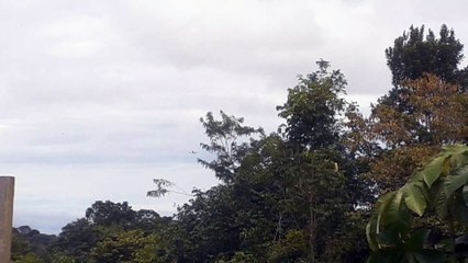 Airbus A330 PR-AIV vindo de Campinas para Manaus