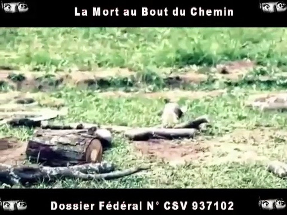 La Mort au bout du Chemin - Dossier Fédéral N° CSV  937102