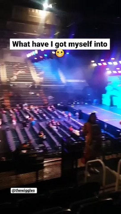 ILLAWARRA MERCURY Surviving The Wiggles in Woll...
