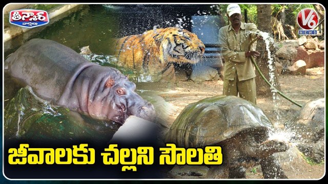 Nehru Zoological Park has installed Sprinklers, Coolers To Protect Animals From Scorching | Hyderabad