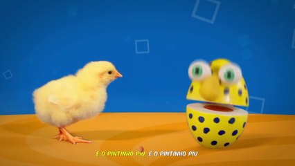 O Pintinho Piu