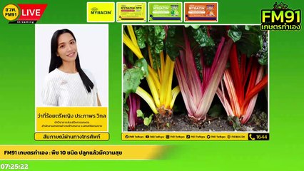 พืช 10 ชนิด ปลูกแล้วมีความสุข : FM91 เกษตรทำเอง : 3 เมษายน 2565