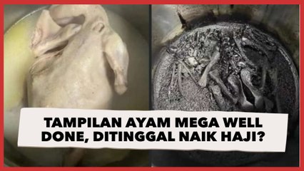 Viral Tampilan Ayam Mega Well Done, Publik: Ditinggal Naik Haji?