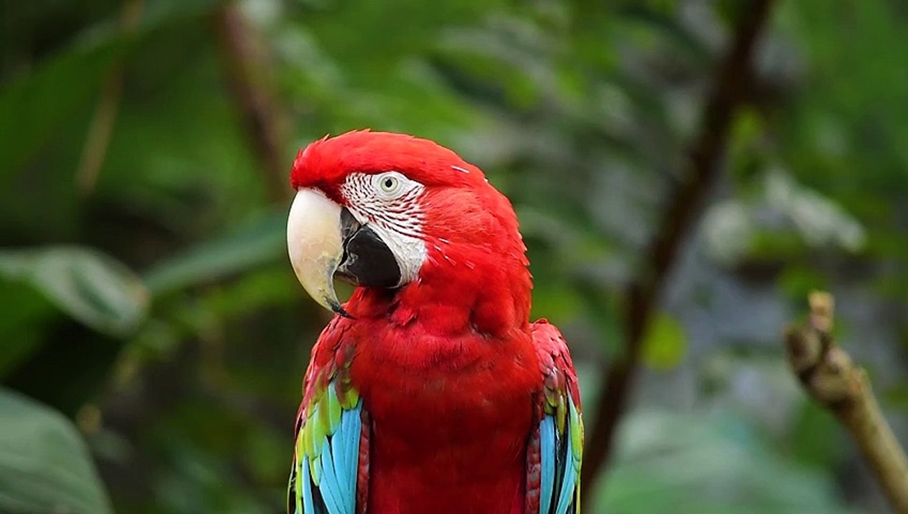 Nature Beauty-5