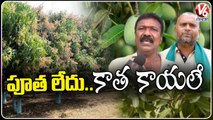 Mango Farmers In Concern With Crop Loss | Mancherial District | V6 News