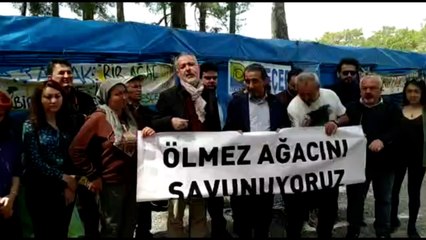 Bu toprağın altına gireceğim, tek bir zeytini kestirmeyeceğim