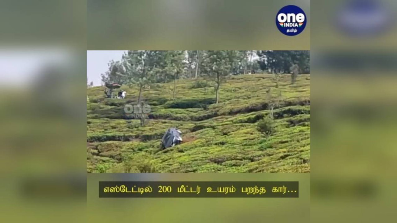 நீலகிரி: எஸ்டேட்டில் 200 மீட்டர் உயரம் பறந்த கா...