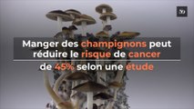 Manger des champignons peut réduire le risque de cancer, de 45% selon une étude