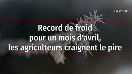Record de froid pour un mois d'avril, les agriculteurs craignent le pire
