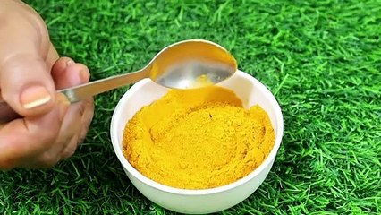 मरते दम तक नहीं होगा कमर दर्द,घुटनों में दर्द, चोट मोच के दर्द मिनटों में ख़त्म करें/धतूरे कि फ़ायदे