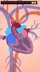 किस दिन लोगो को सबसे ज्यादा हार्टअटैक आता है।