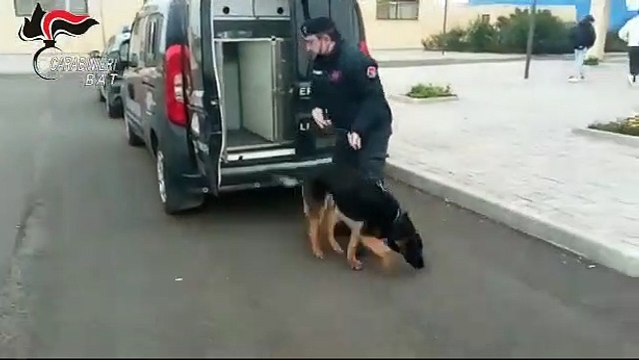 Carabinieri nell'istituto Aldo Moro di Margherita di Savoia