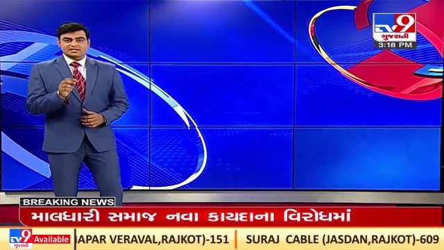 રખડતા ઢોર નિયંત્રણના કાયદા પર ફેર વિચારણા કરવામાં આવશે _ Gujarat BP Chief C.R.Patil _ Tv9