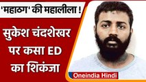 चुनाव चिन्ह दिलाने के केस में महाठग Sukesh Chandrashekhar को ED ने Custody में लिया | वनइंडिया हिंदी