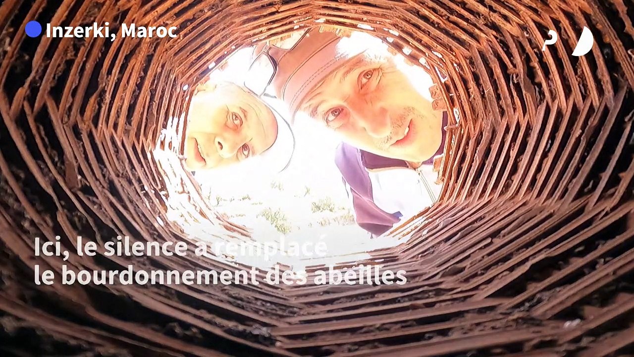 Maroc: les abeilles désertent le plus ancien rucher au monde