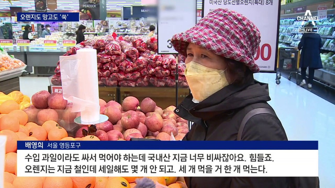 값 떨어질 철인데…수입산 과일도 가격 껑충