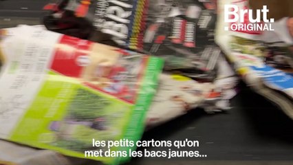 Dans un centre de tri des déchets (parfois improbables)