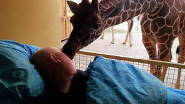 Eine Stiftung erfüllt die letzten Wünsche von Todkranken.