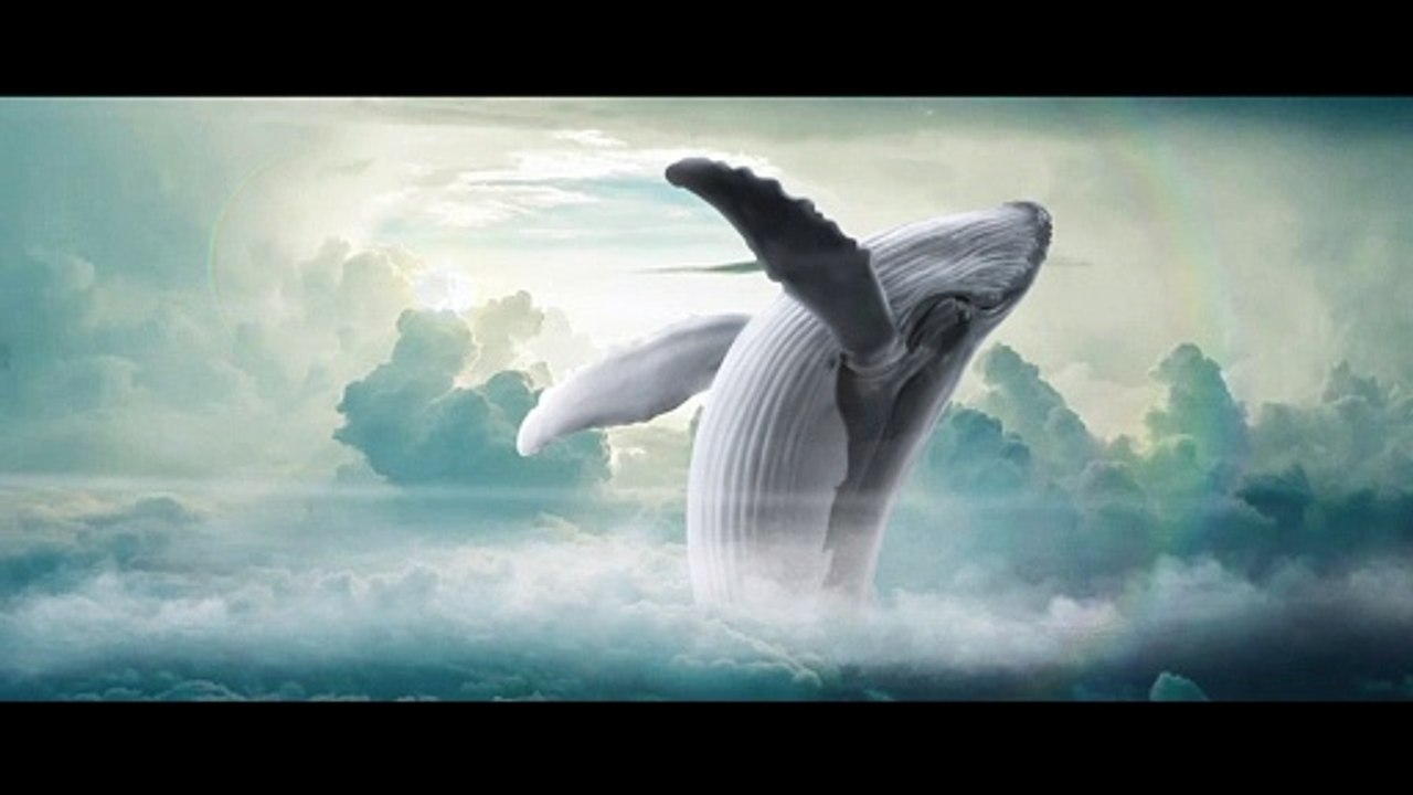 Méditation des BALEINES [ANTHONY DORIAND]
